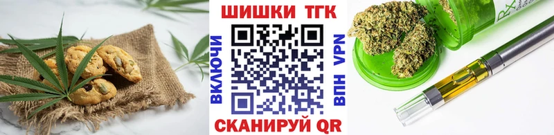 Canna-Cookies марихуана  купить наркотики сайты  Новодвинск 