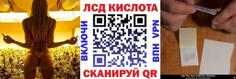 Марки 25I-NBOMe 1500мкг  ОМГ ОМГ ССЫЛКА  Новодвинск 