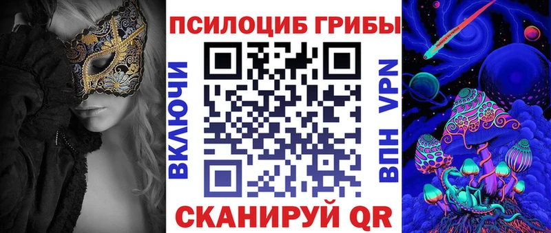 площадка как зайти Новодвинск Псилоцибиновые грибы GOLDEN TEACHER
