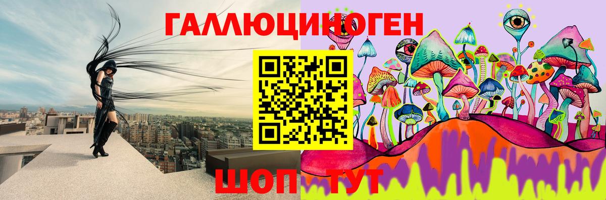 Галлюциногенные грибы Psilocybe Новодвинск