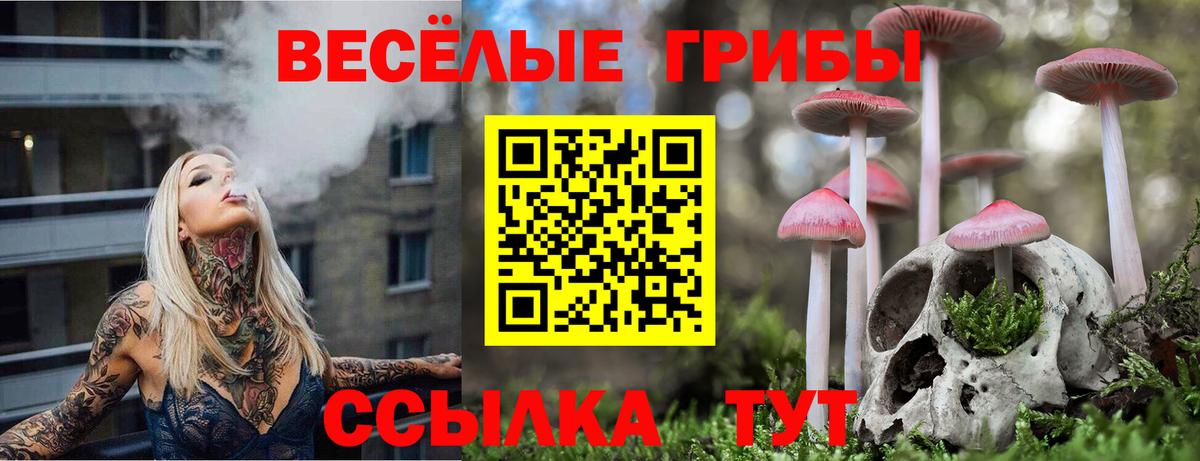 Галлюциногенные грибы Psilocybe  Вход с VPN  Галлюциногенные грибы мицелий  Новодвинск 