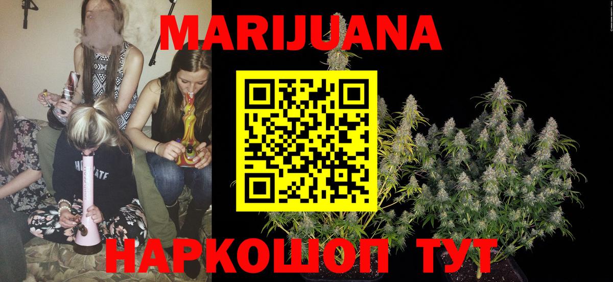 Бошки Шишки планчик Новодвинск